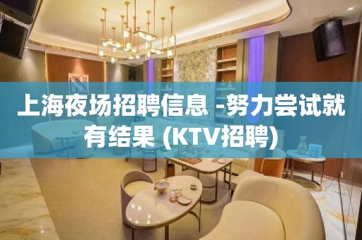 上海夜场招聘信息 -努力尝试就有结果 (KTV招聘)
