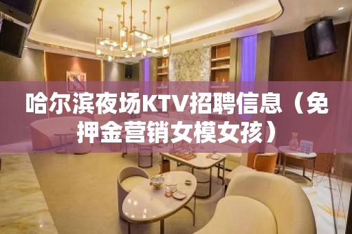 哈尔滨夜场KTV招聘信息（免押金营销女模女孩）